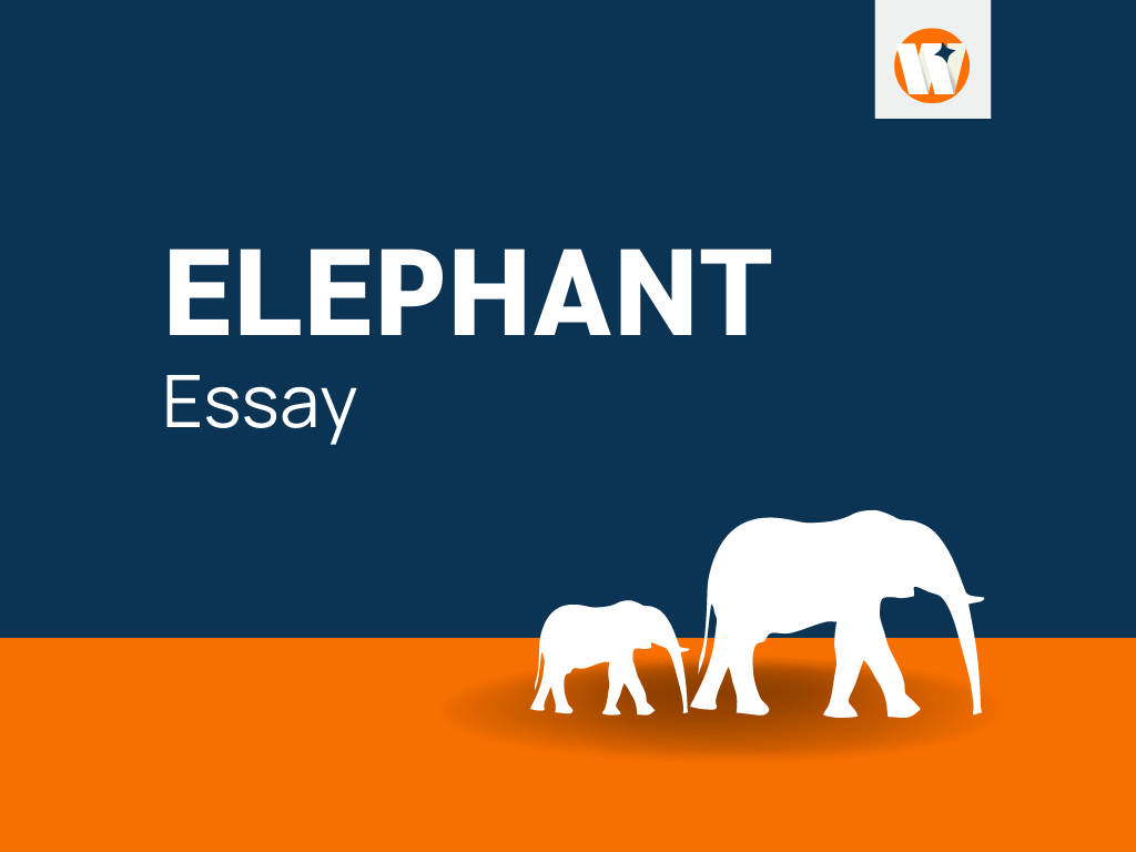 how do you write an elephant essay