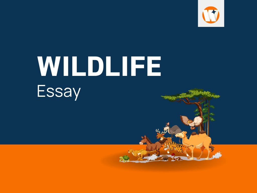 wildlife essay for class 4